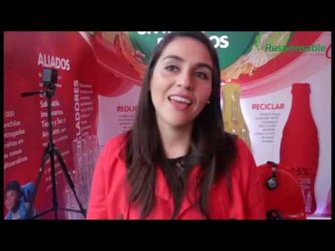 economia circular botellas plasticas