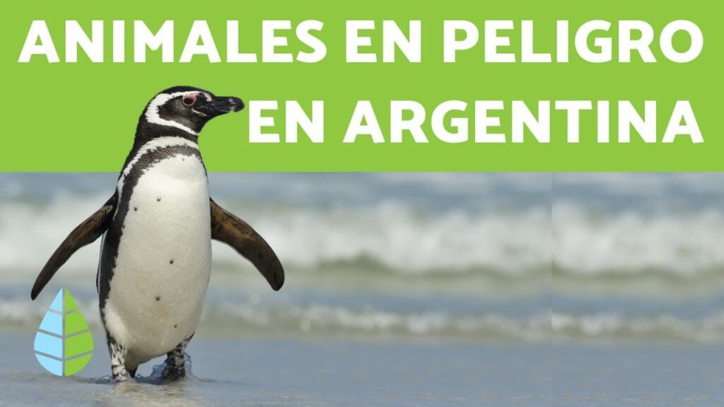animales en peligro de extincion en el noroeste argentino