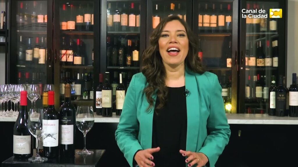 en argentina vino que no ha terminado de fermentar