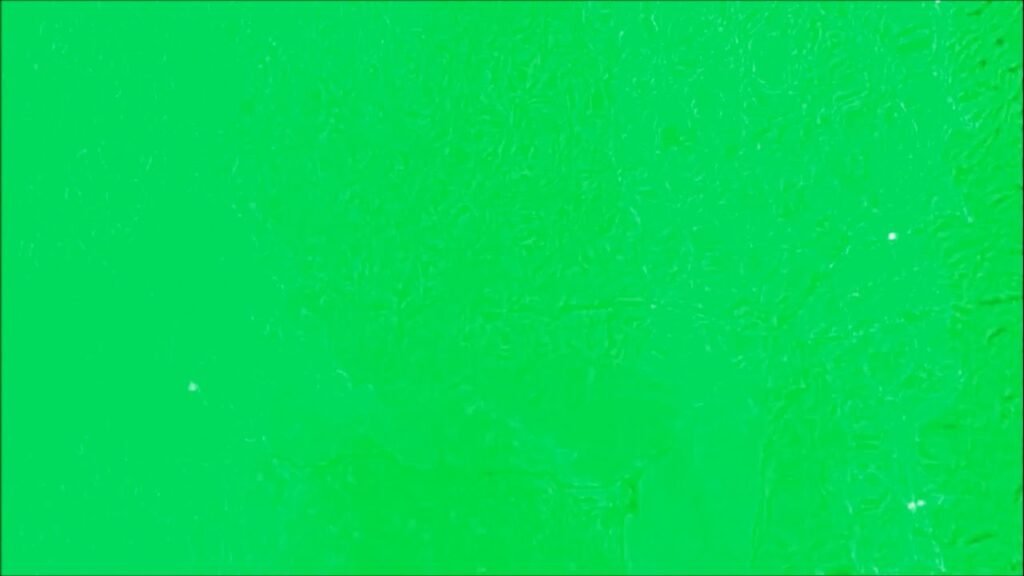 noroeste a fondo
