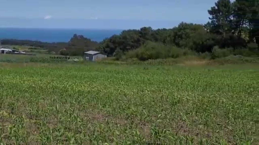 que ver en barcia asturias