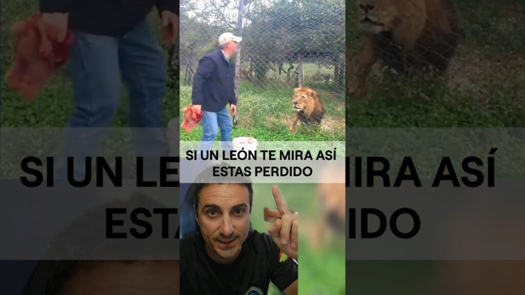 qué hacer en León para toda la familia