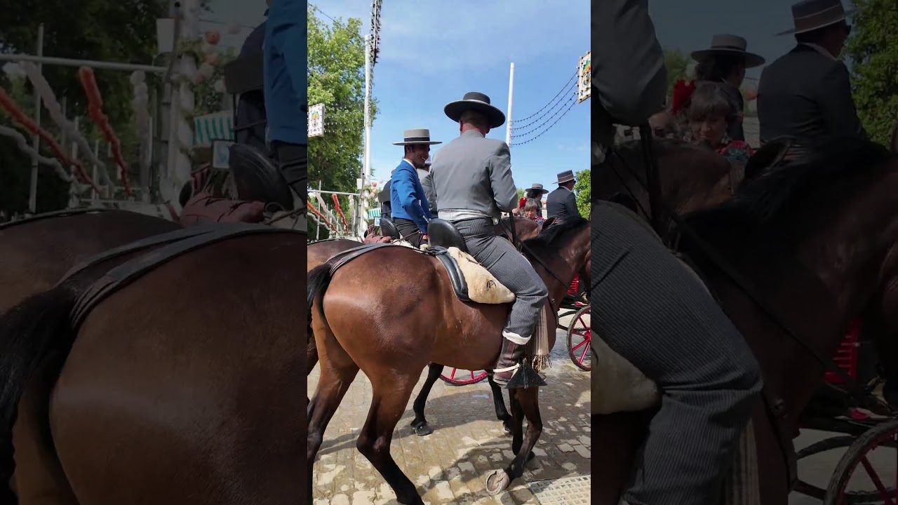 ferias-y-mercados-durante-las-fiestas-de-Pontevedra-que-atraen-turistas-cada-ano - Noroeste Noticias 24h ferias y mercados durante las fiestas de Pontevedra que atraen turistas cada año