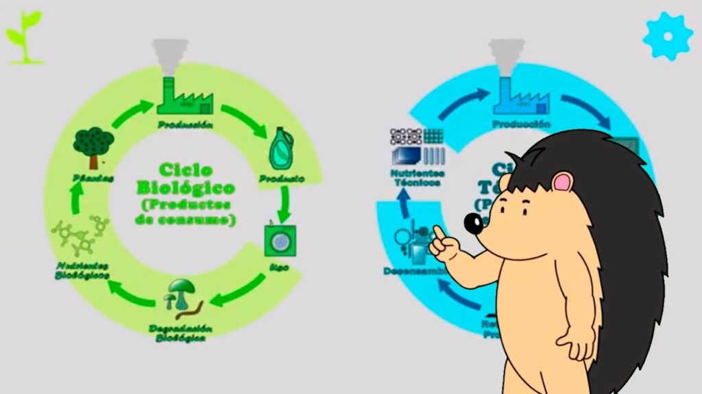 economía circular ejemplos reales