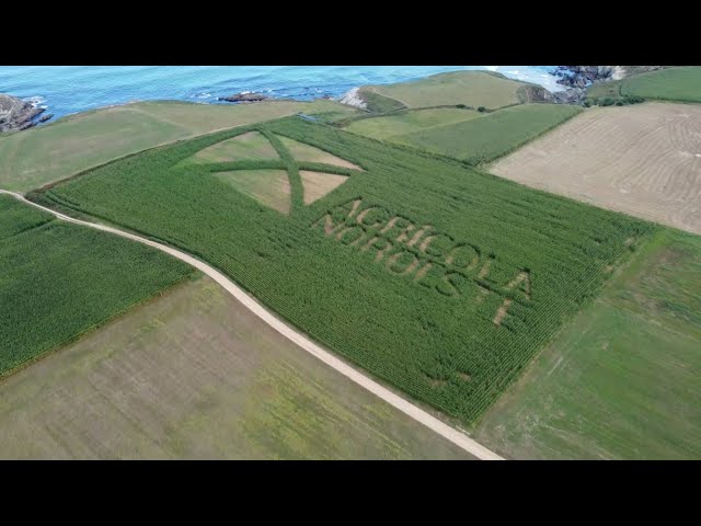 noroeste-agricola - Noroeste Noticias 24h noroeste agricola