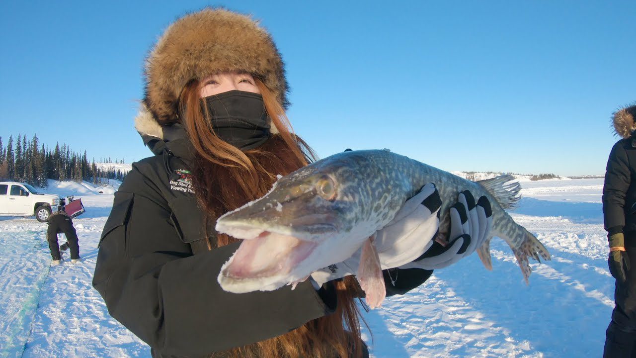 yellowknife-en-el-noroeste-de-canada - Noroeste Noticias 24h yellowknife en el noroeste de canadá