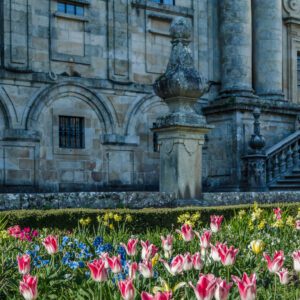 Stone historic building with arched windows and ornate stonework, foreground filled with pink and white tulips.