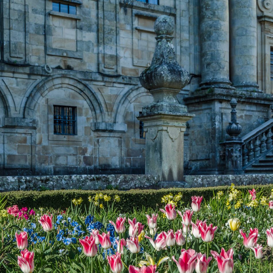 Stone historic building with arched windows and ornate stonework, foreground filled with pink and white tulips.